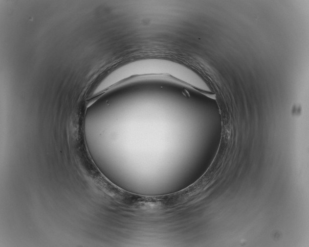 X0000091300552200709071055