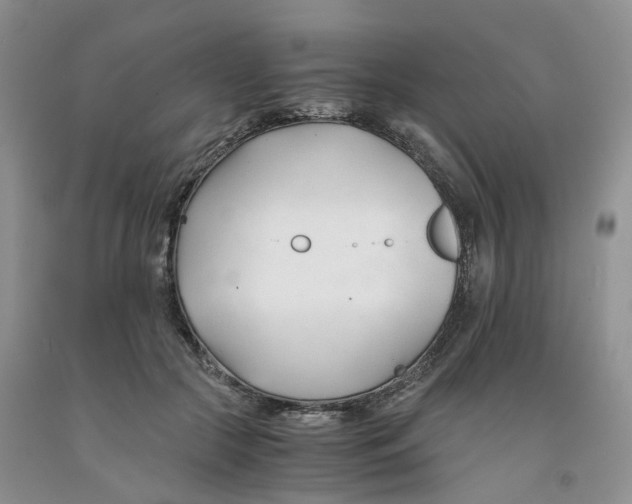 X0000091300553200709071055