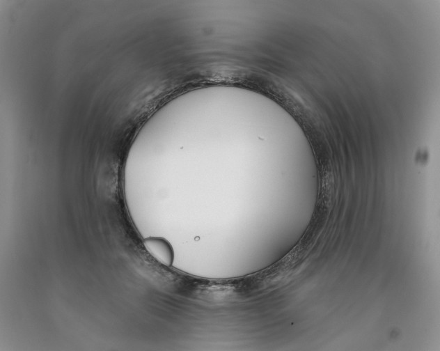 X0000091300554200709071055