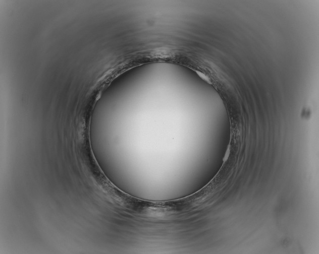 X0000091300556200709071055