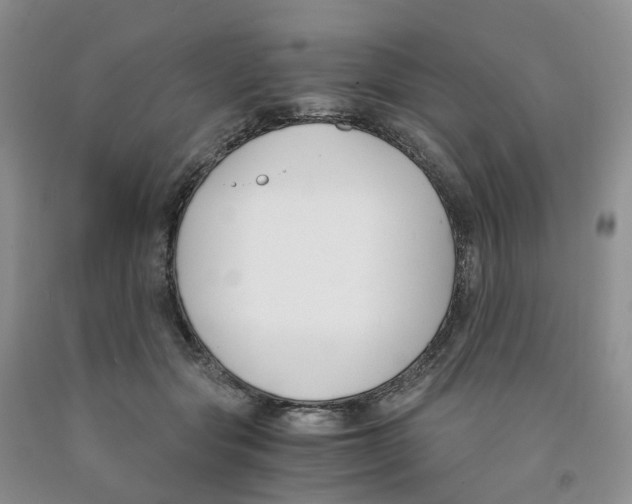 X0000091300557200709071055