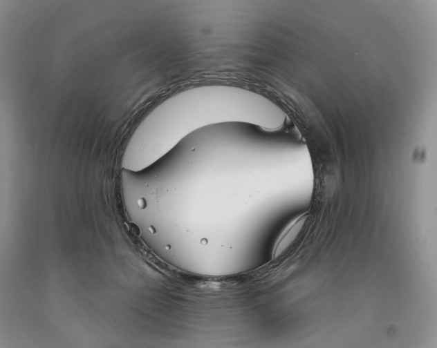 X0000091300558200709071055