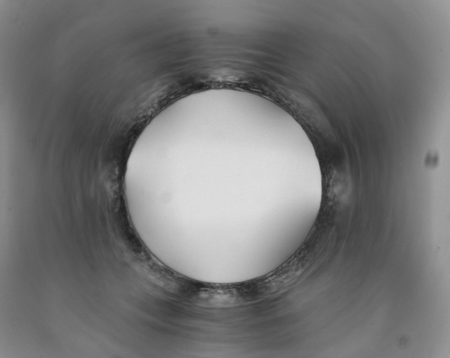 X0000091300559200709071055