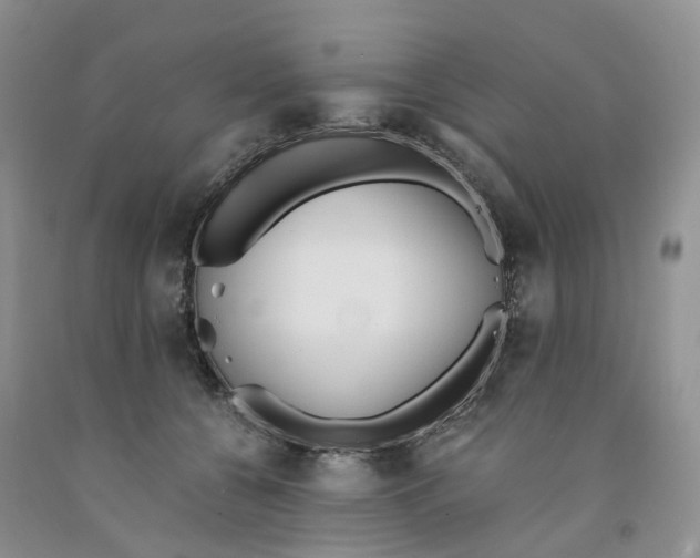 X0000091300560200709071055