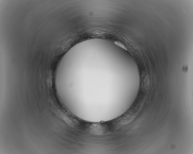 X0000091300562200709071055