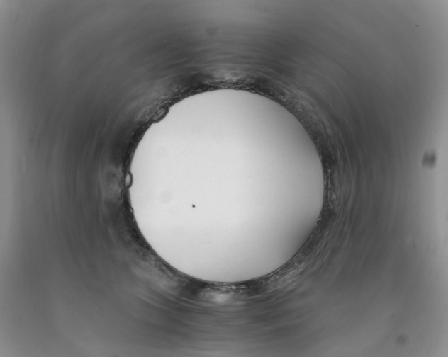 X0000091300563200709071055