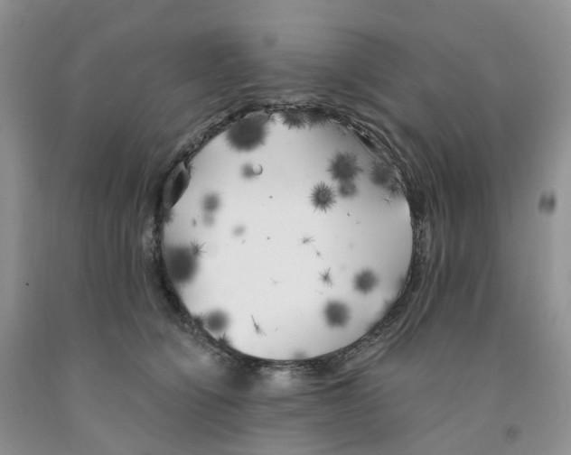 X0000091300564200709071056