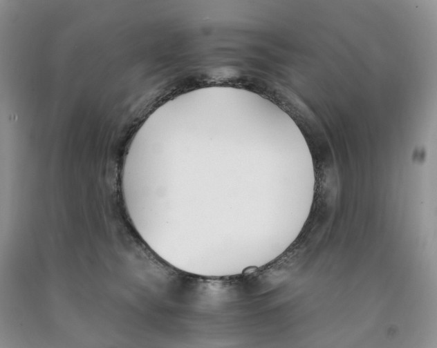 X0000091300565200709071056