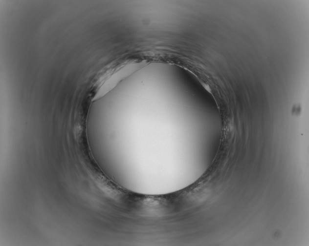 X0000091300566200709071056