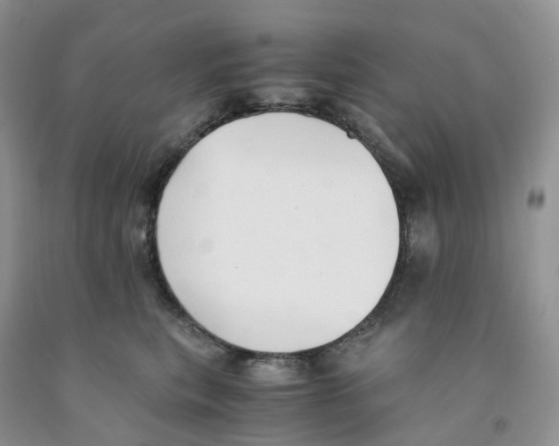 X0000091300567200709071056