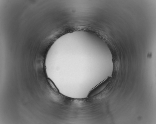 X0000091300570200709071056