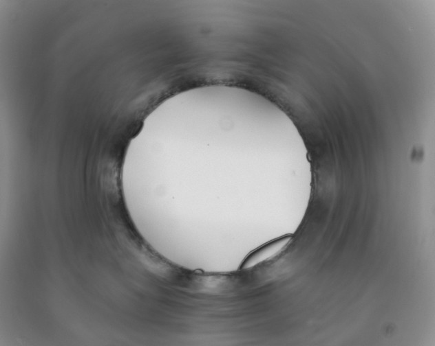 X0000091300575200709071056