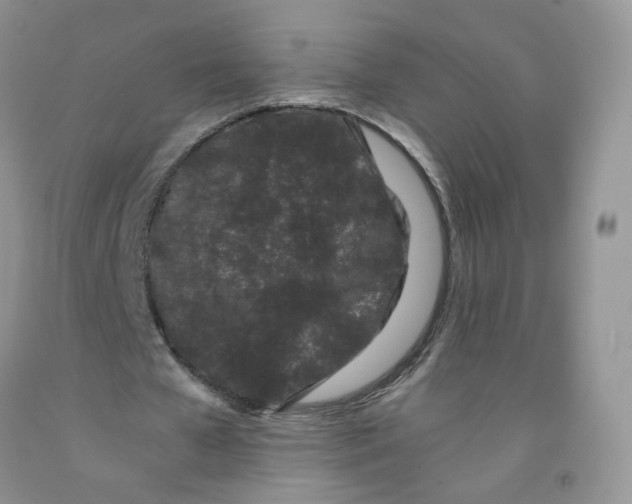 X0000091300577200709071055