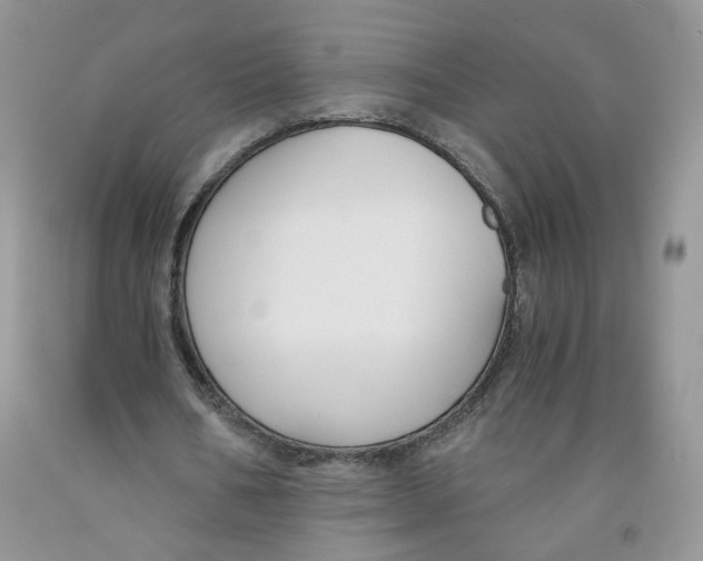 X0000091300578200709071055