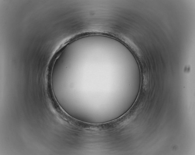 X0000091300580200709071055