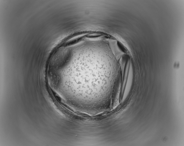 X0000091300581200709071055