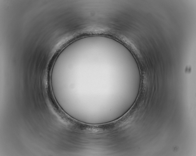 X0000091300582200709071055