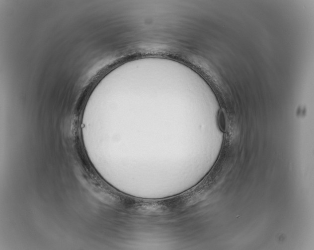 X0000091300583200709071055