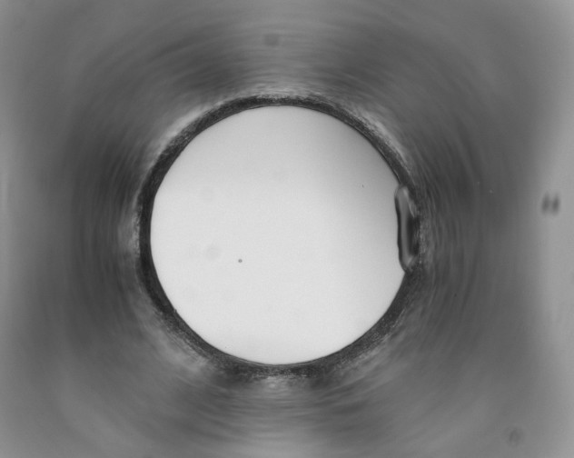 X0000091300584200709071055