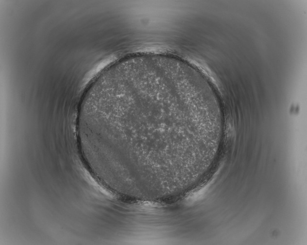 X0000091300585200709071055