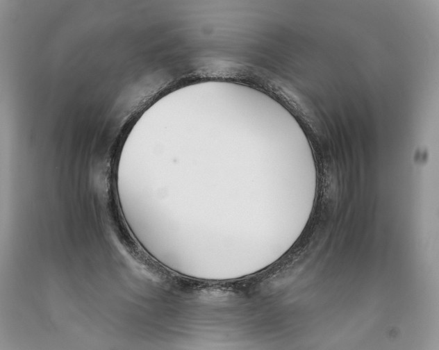 X0000091300586200709071055