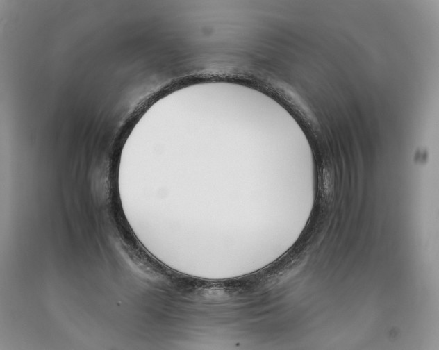 X0000091300588200709071055