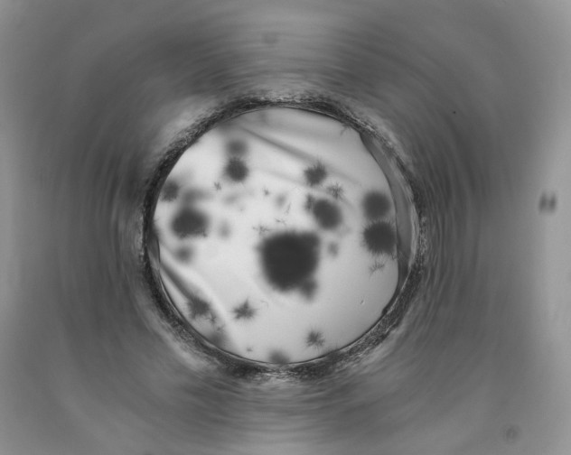 X0000091300589200709071055