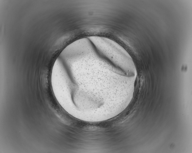 X0000091300590200709071055