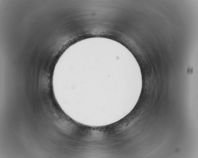 X0000091300592200709071055