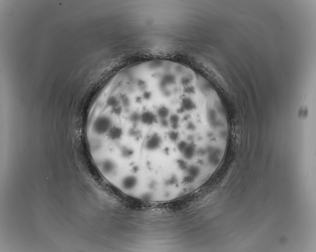 X0000091300593200709071055