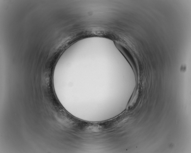 X0000091300595200709071055