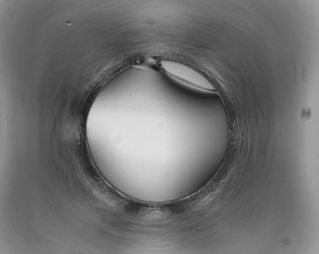 X0000091300597200709071055