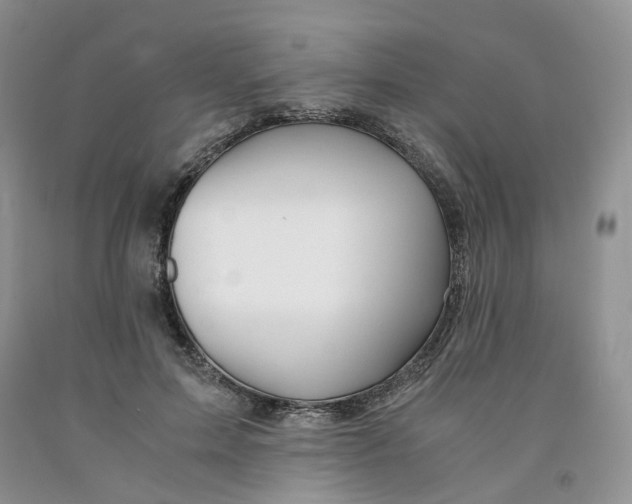 X0000091300599200709071054