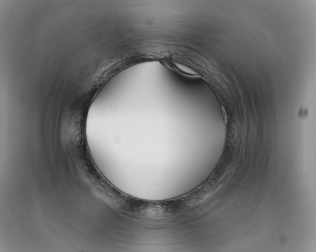 X0000091300600200709071054