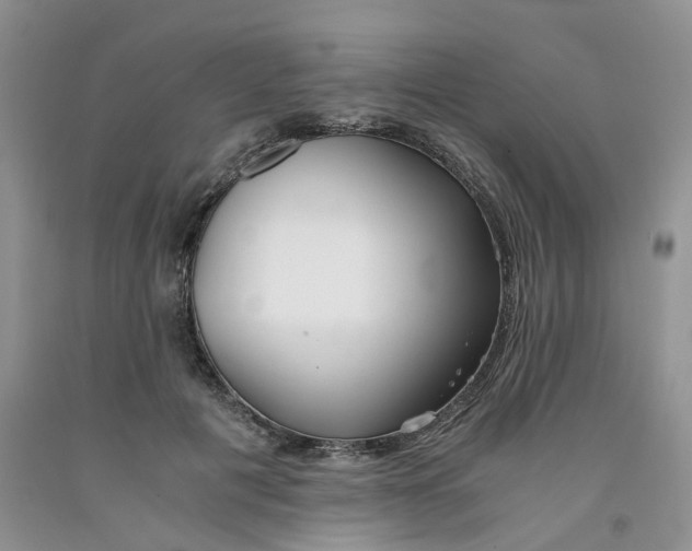 X0000091300601200709071054