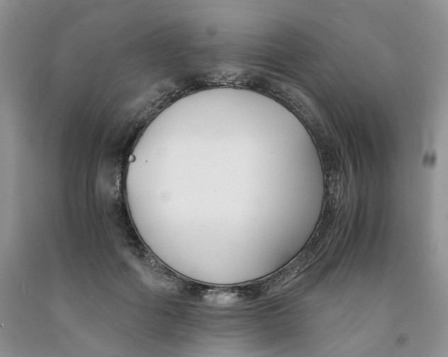 X0000091300602200709071054