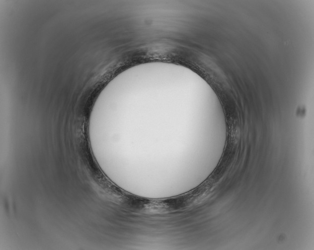 X0000091300603200709071054