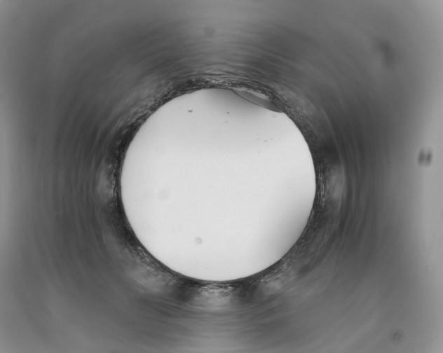 X0000091300606200709071054