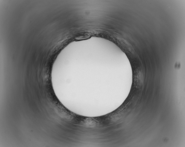 X0000091300608200709071054