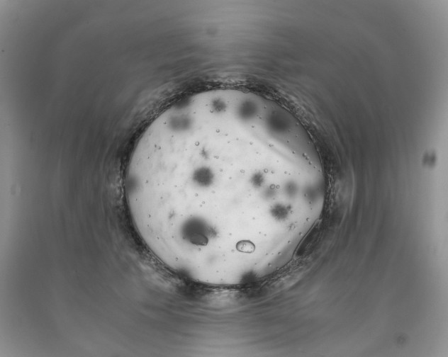 X0000091300609200709071054