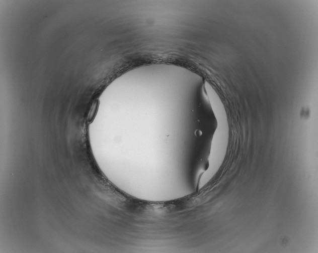 X0000091300613200709071054