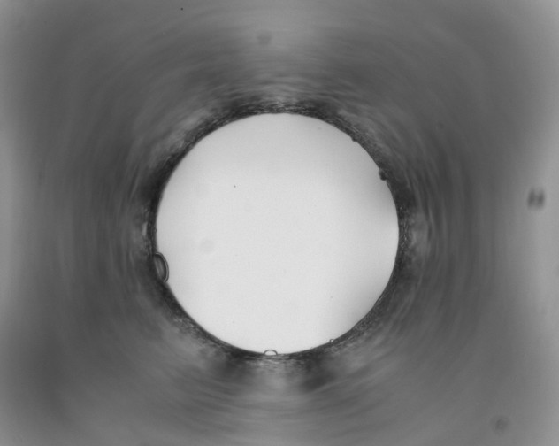 X0000091300615200709071054