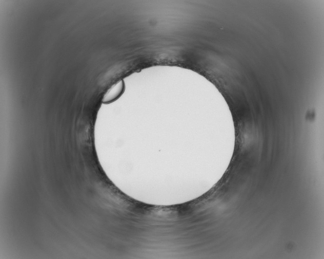 X0000091300619200709071054