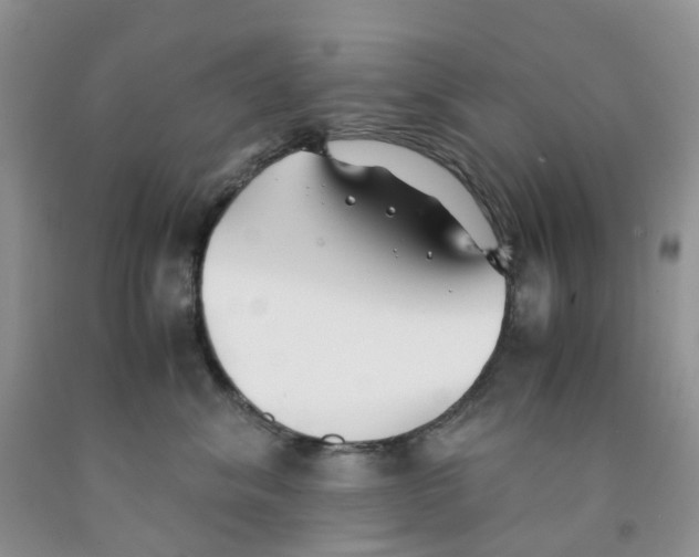 X0000091300620200709071054