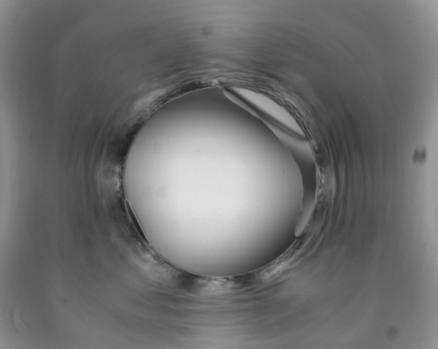 X0000091300621200709071054