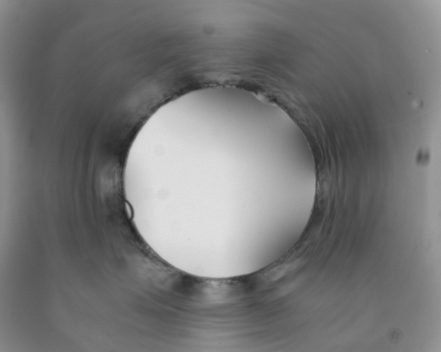 X0000091300623200709071054