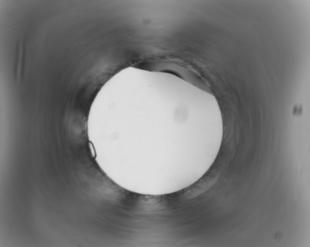 X0000091300624200709071054