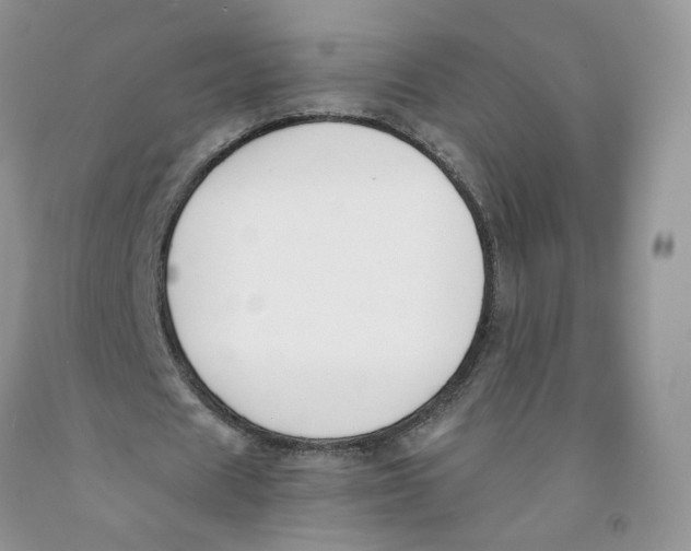 X0000091300625200709071053