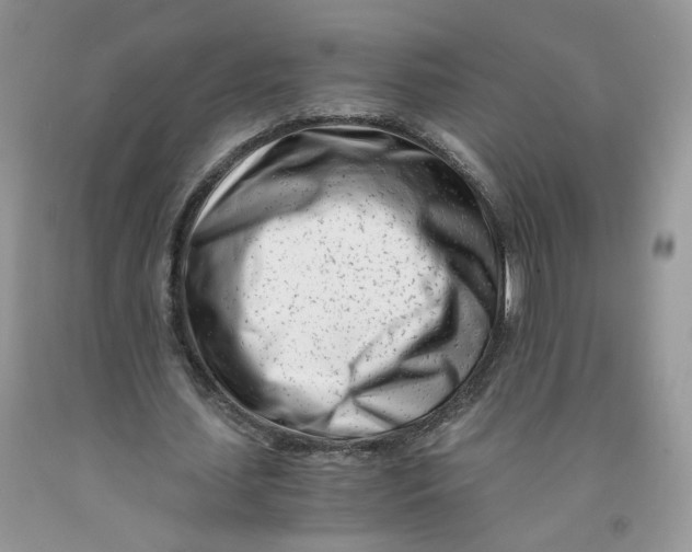 X0000091300627200709071053