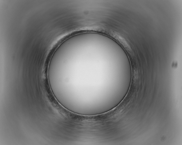 X0000091300628200709071053